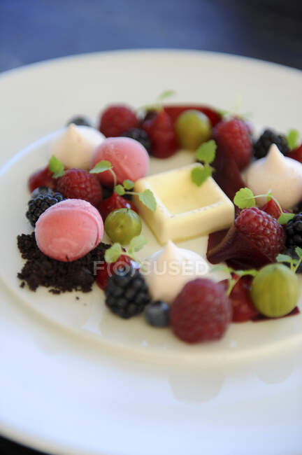 Sorbete de frambuesa con chocolate blanco y bayas frescas - foto de stock