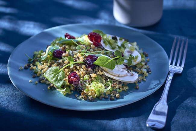 Bulgur salad with cranberries and mushrooms — Stock Photo