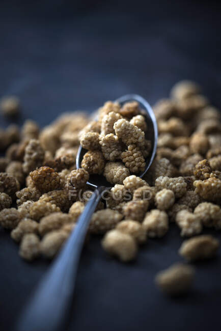 Dried mulberries in spoon on dark surface — Stock Photo