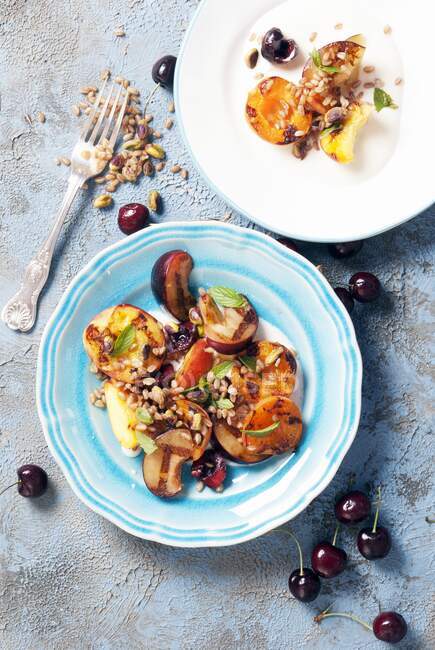 Персики на гриле, абрикосы, сливы, подаются с греческим йогуртом и фисташками в тарелках — стоковое фото