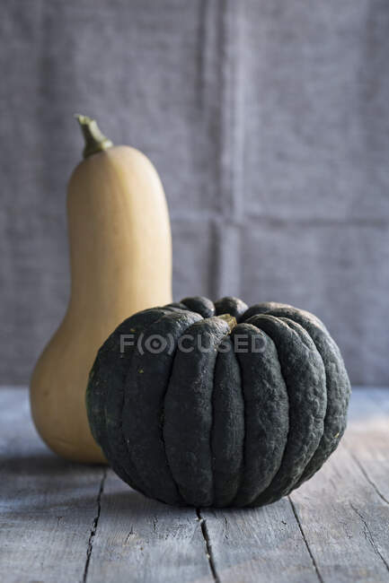 A dark green pumpkin and a butternut squash — Stock Photo