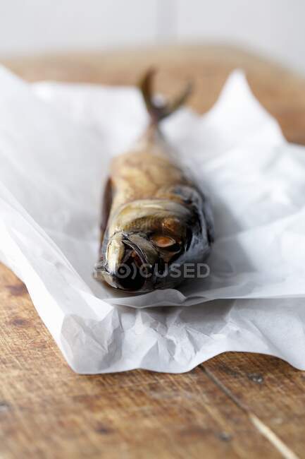 Un poisson d'eau de mer sur papier — Photo de stock
