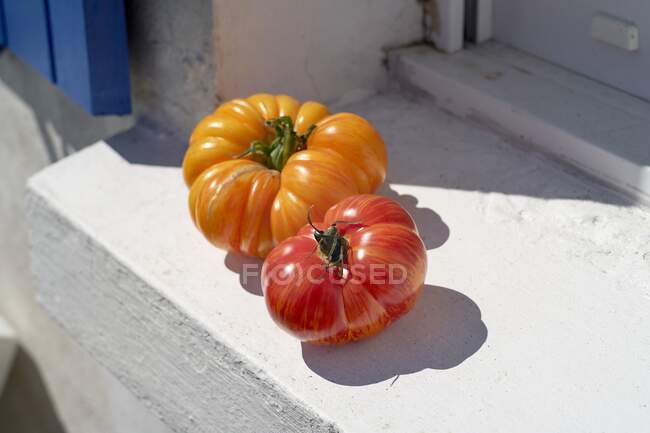 Dos tomates en una repisa de ventana - foto de stock