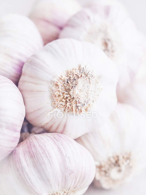 Garlic bulbs (close-up) — Stock Photo