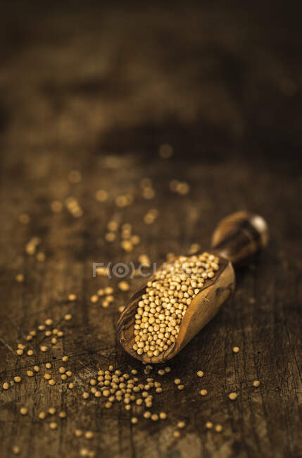 Mustard seeds on a small wooden scoop — Stock Photo