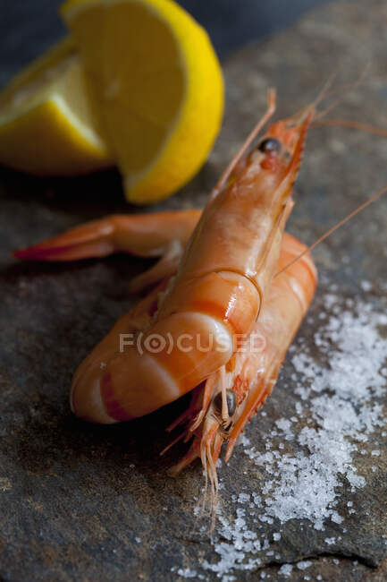 Crevettes aux quartiers de citron et sel — Photo de stock