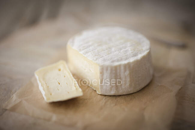 Camembert de queijo semi-macio em tábua de madeira — Fotografia de Stock