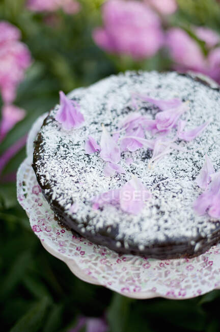 Chocolate cake decorated with grated coconut and petals — Stock Photo