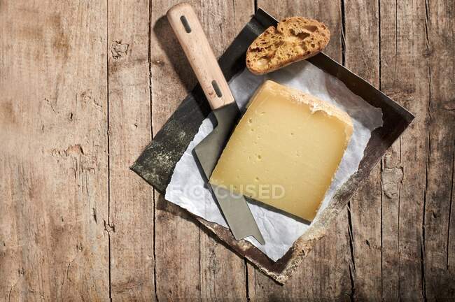 Primo piano di deliziosi formaggi di montagna e pane — Foto stock