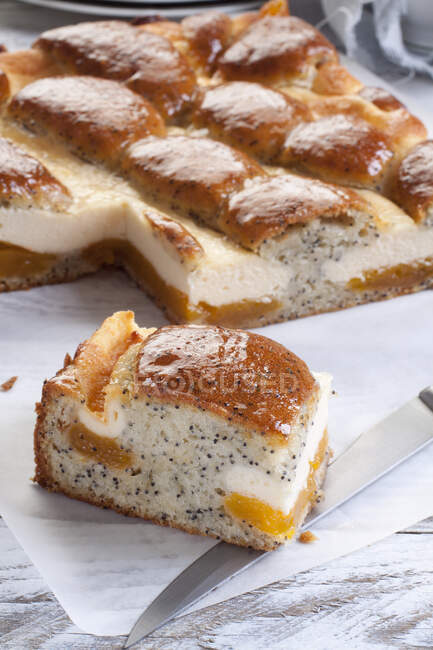 Pastel con semillas de amapola queso y albaricoque - foto de stock