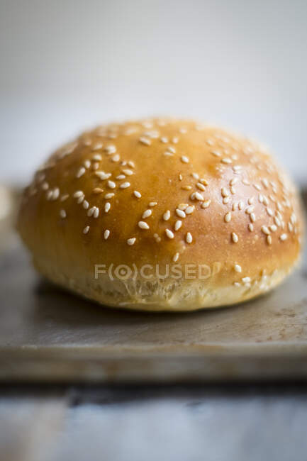 Gros plan de délicieux Hamburger Roll — Photo de stock