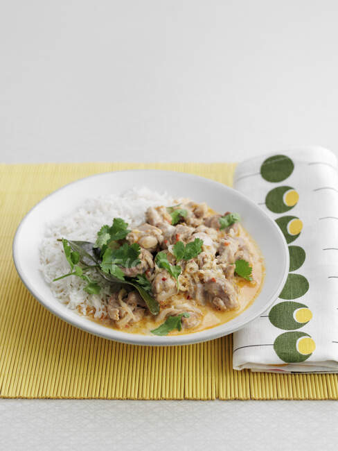 Chicken Fish Curry mit Reis und Kräutern — Stockfoto