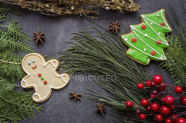 Primo piano di deliziosi biscotti di Natale sul tavolo di legno — Foto stock
