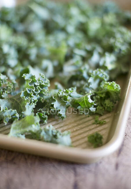 Kale leaves close-up view — Stock Photo