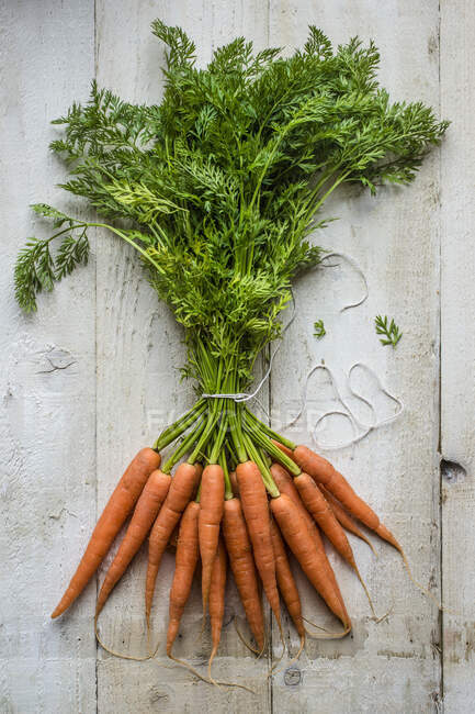 Zanahorias frescas vista de cerca - foto de stock