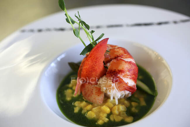Lobster with corn pudding and asparagus — Stock Photo