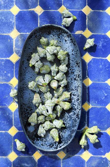 Brotes de eucalipto en plato azul en la superficie de azulejos - foto de stock
