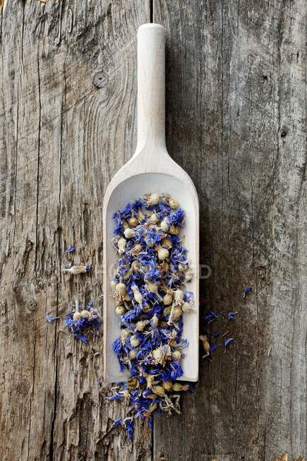 Getrocknete Kornblumen auf einer Holzschaufel — Stockfoto