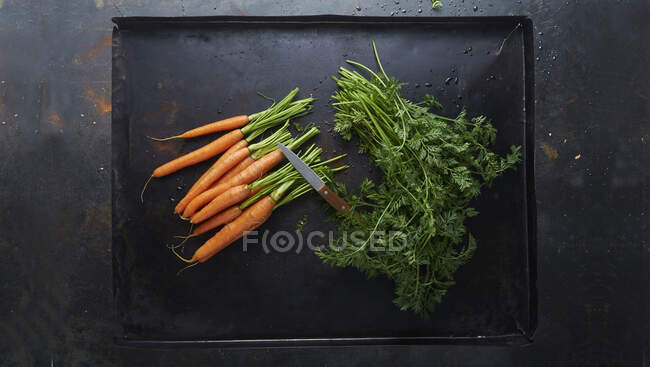 Carrots with the leaves cut off on a baking tray — Stock Photo