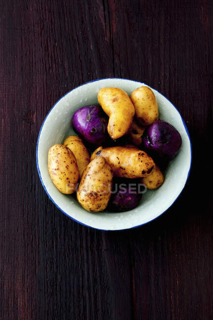 Una selección de patatas Linda, Blue Congo y Vitelotte - foto de stock