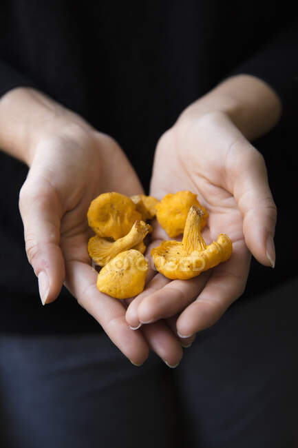 A woman holding chanterelle mushrooms — Stock Photo