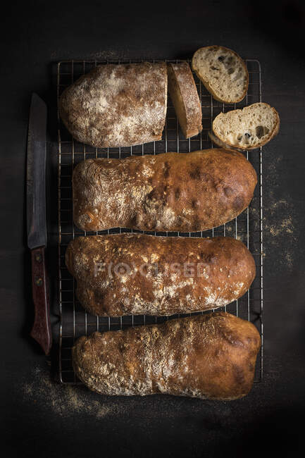 Freshly baked ciabatta bread on cooling rack — Stock Photo