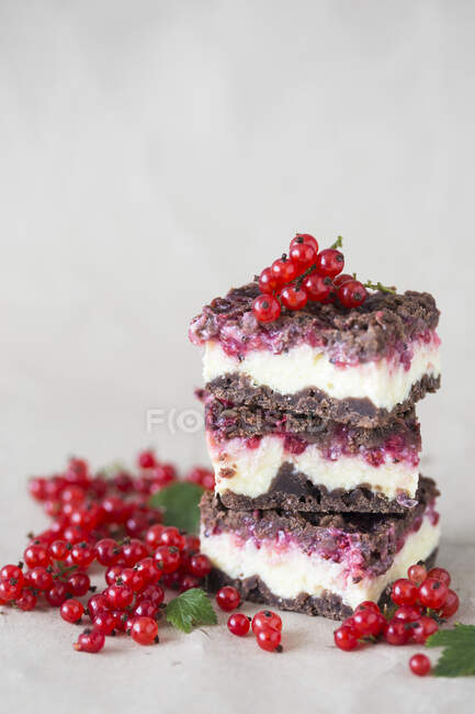 Chocolate crust and red currant cheesecake squares — Stock Photo