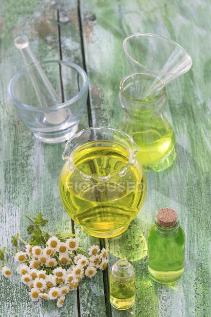 Chamomile oil and fresh chamomile flowers — Stock Photo