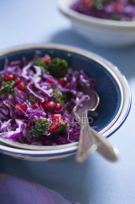 Red Cabbage with Kale and Pomegranate Seeds in an Enamel Bowl — Stock Photo