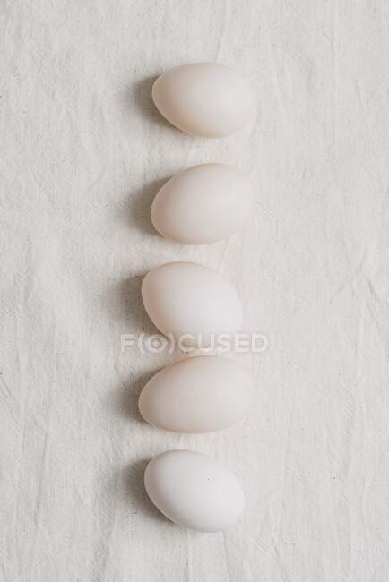 Row of six white duck eggs — Stock Photo