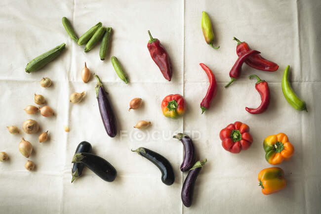 Varias verduras de verano vista de cerca - foto de stock