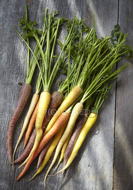 Various colored Carrots with green stems on wooden surface — Stock Photo