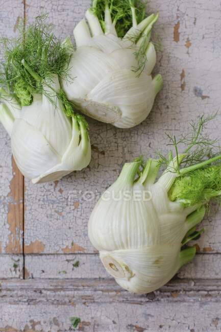 Three fresh fennel bulbs (top view) — Stock Photo
