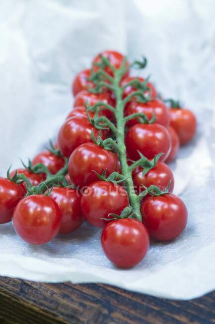 Cocktail tomatoes on the vine on paper — Stock Photo