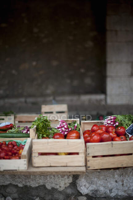 Pomodori e ravanelli in scatole di verdure — Foto stock