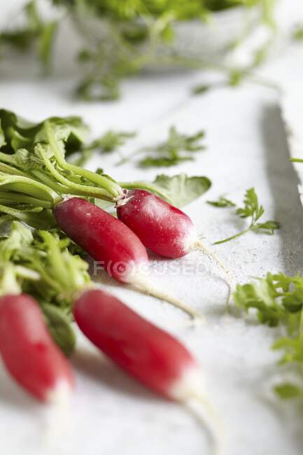 Fresh radishes close-up view — Stock Photo