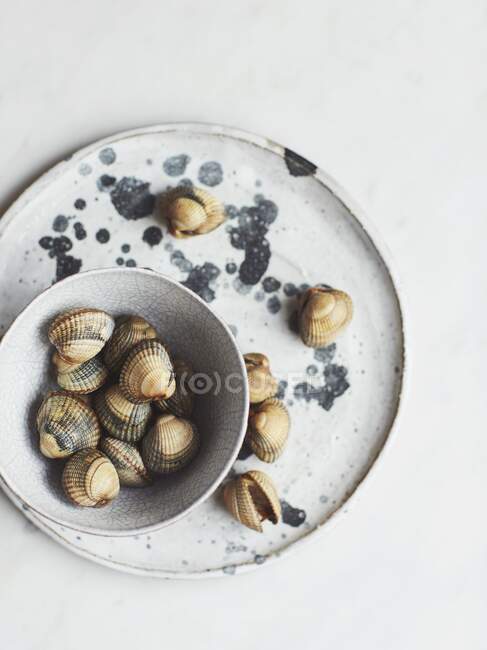 Raw clams on a plate and in a bowl — Stock Photo