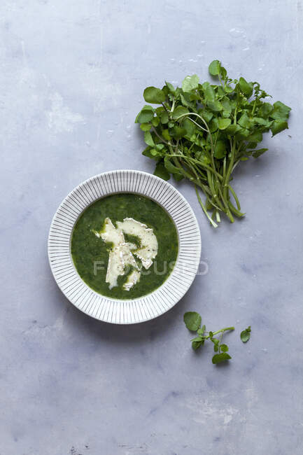 Cream of watercress soup — Foto stock