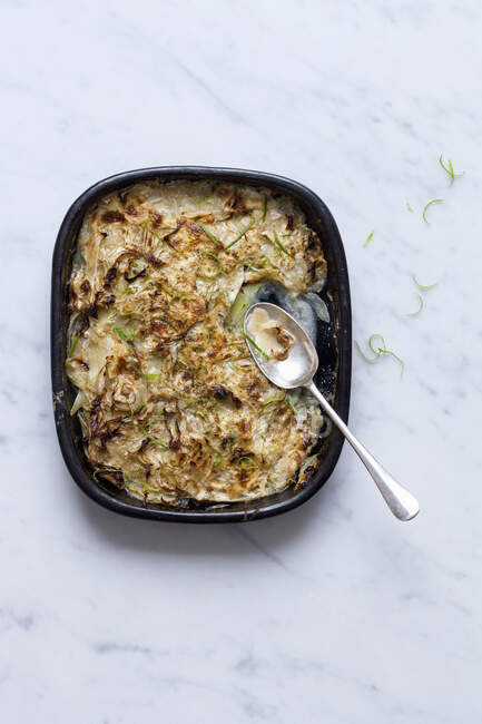 Fennel gratin close-up view — Stock Photo