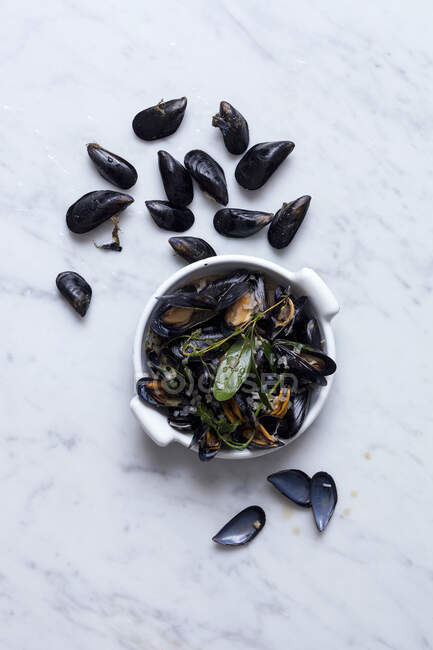 Marinated mussels close-up view — Stock Photo