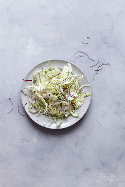 Салат из фенхеля с красным луком — стоковое фото
