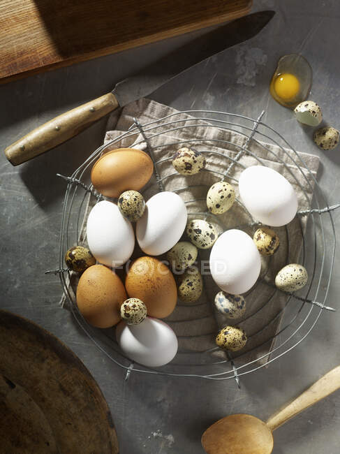 Brown and white eggs with quail eggs on rack — Stock Photo