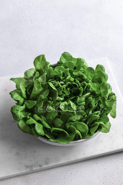 Листя салату в мисці крупним планом — стокове фото