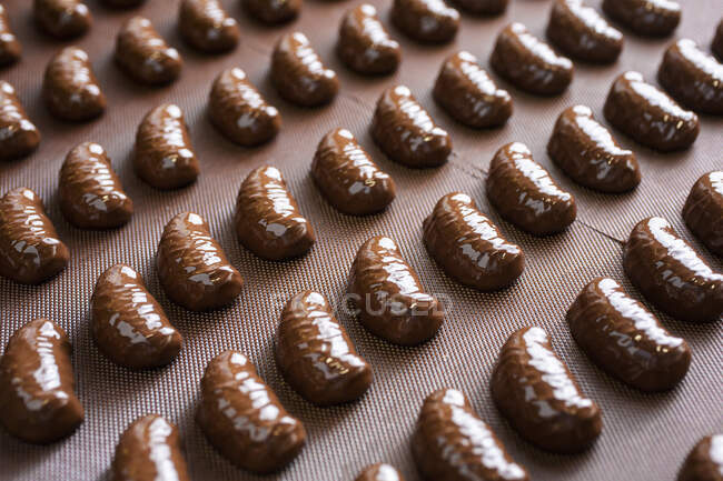 Making chocolate pralines close-up view — Stock Photo