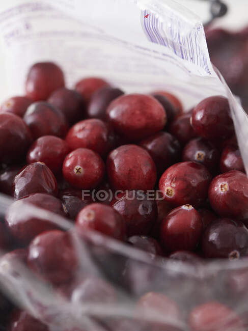 Cranberries visão de close-up madura — Fotografia de Stock
