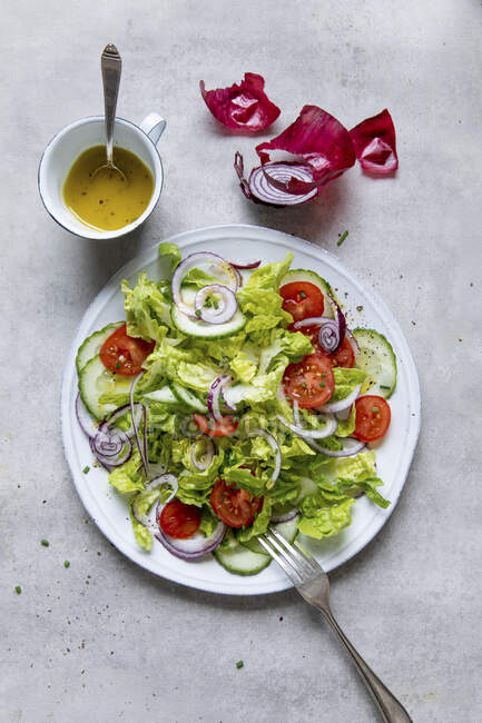 Смешанный салат с помидорами и красным луком — стоковое фото