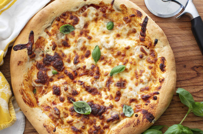 Käsepizza mit Basilikum — Stockfoto