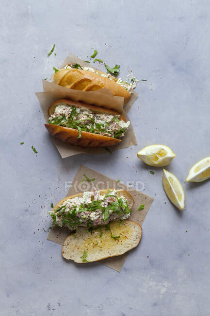 Sandwich con vista de langosta - foto de stock