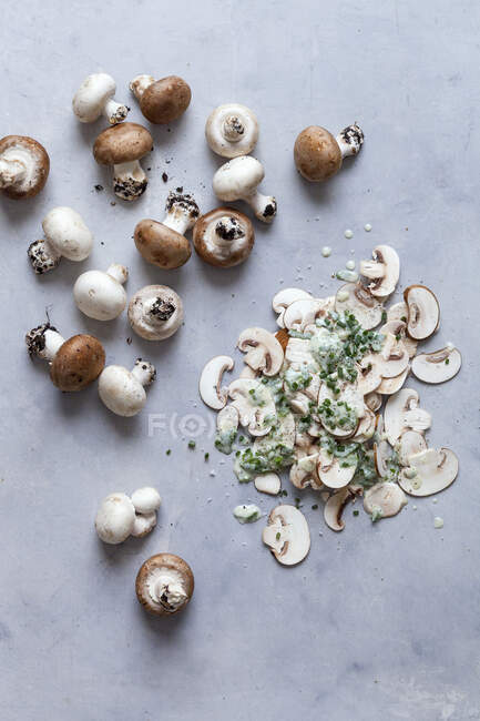 Mushroom carpaccio close-up view — Stock Photo