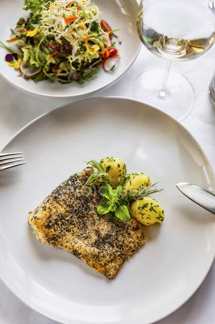Жареная рыба в корочке с маком с картошкой и смешанным салатом — стоковое фото